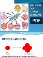 Definisi Jaringan Tissue dan Fungsinya