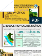 Bosque Tropical Del Pacífico - I Seminario