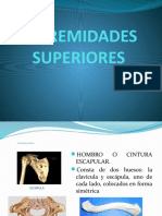 Extremidades Superiores