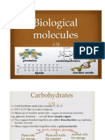 Bioogical Molecules Presentation