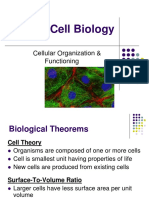Cell Biology: Cellular Organization & Functioning
