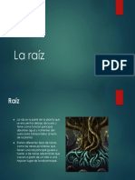 La Raíz