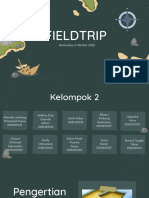 Example Fieldtrip Report