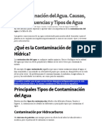 TP Contaminación Del Agua