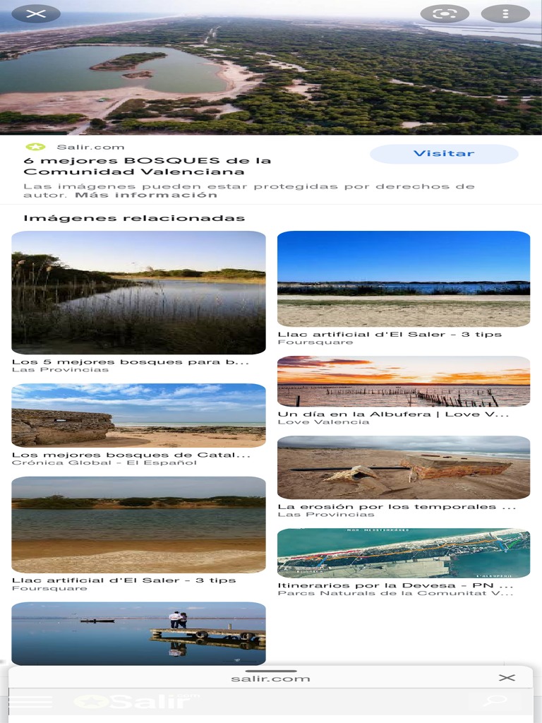 Lago Artificial Del Saler Búsqueda de Google PDF