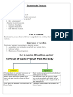 Excretion in Humans - Handout As A Summary