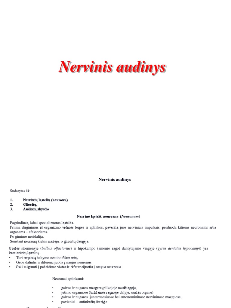 05 - Nervinis Audinys | PDF