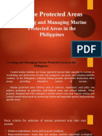 Creating and Managing Marine Protected Areas in The Philippines