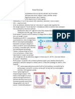 Human Physiology: Nutrition, Digestion, Liver & Heart Functions
