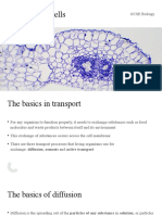 Transport in Cells: GCSE Biology
