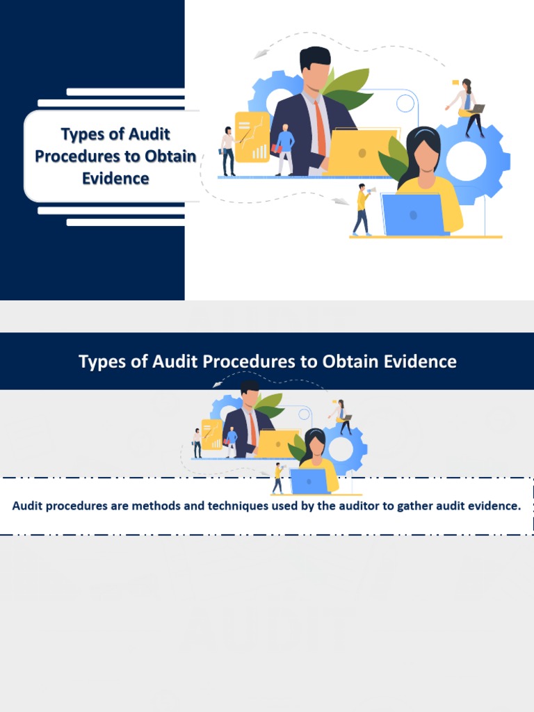 ARM Audit Procedures PDF Audit Business