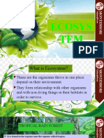 Ecosys TEM