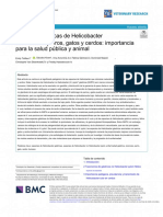 Especies Gástricas de Helicobacter Asociadas A Perros, Gatos y Cerdos: Importancia para La Salud Pública y Animal