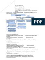 Fisiopatología diarreas