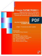 Proyecto PAPIME PE300211