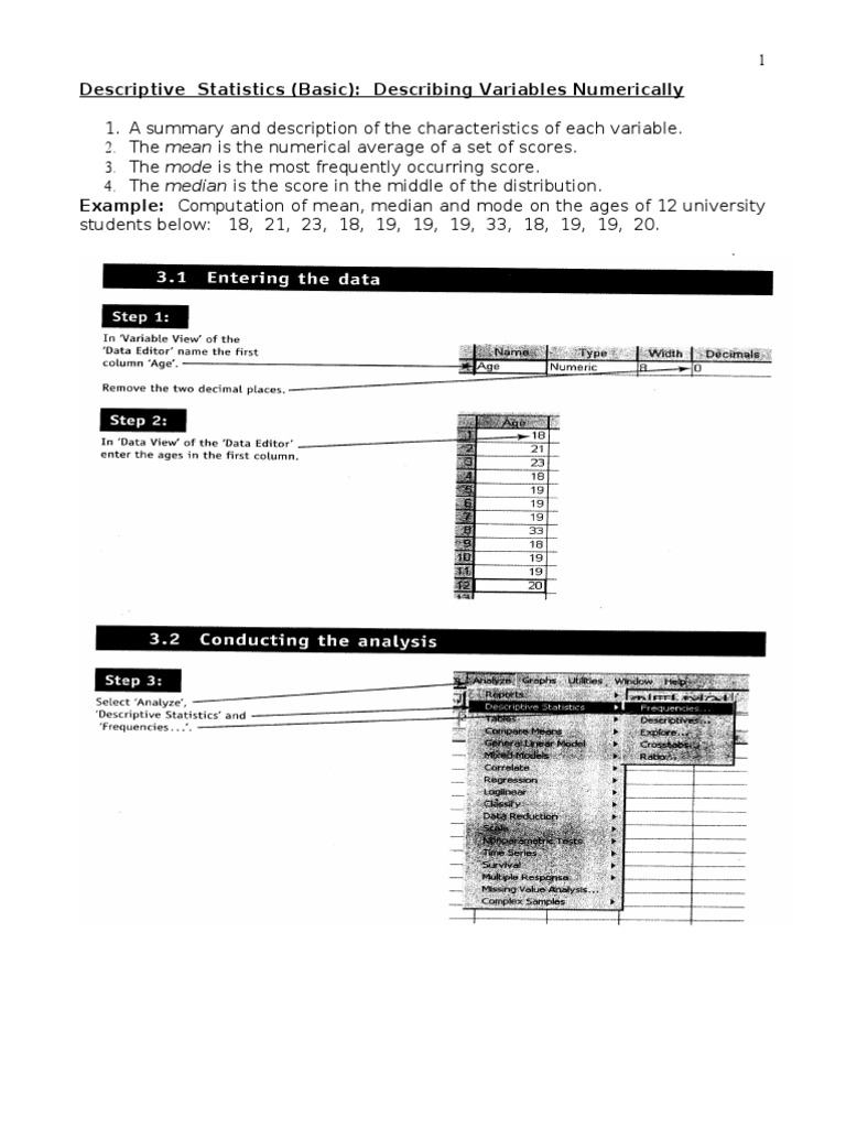 Basic Descriptive Statistics Explained | PDF