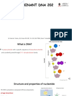 Recombinant DNA 202: Understanding DNA Structure