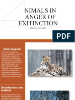 Animals in Danger