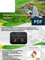 Parámetros productivos avícolas: postura, engorde y registros