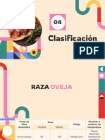 Clasificación