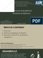 Procesos Energéticos Durante El Deporte: Maracaibo, 16/11/22