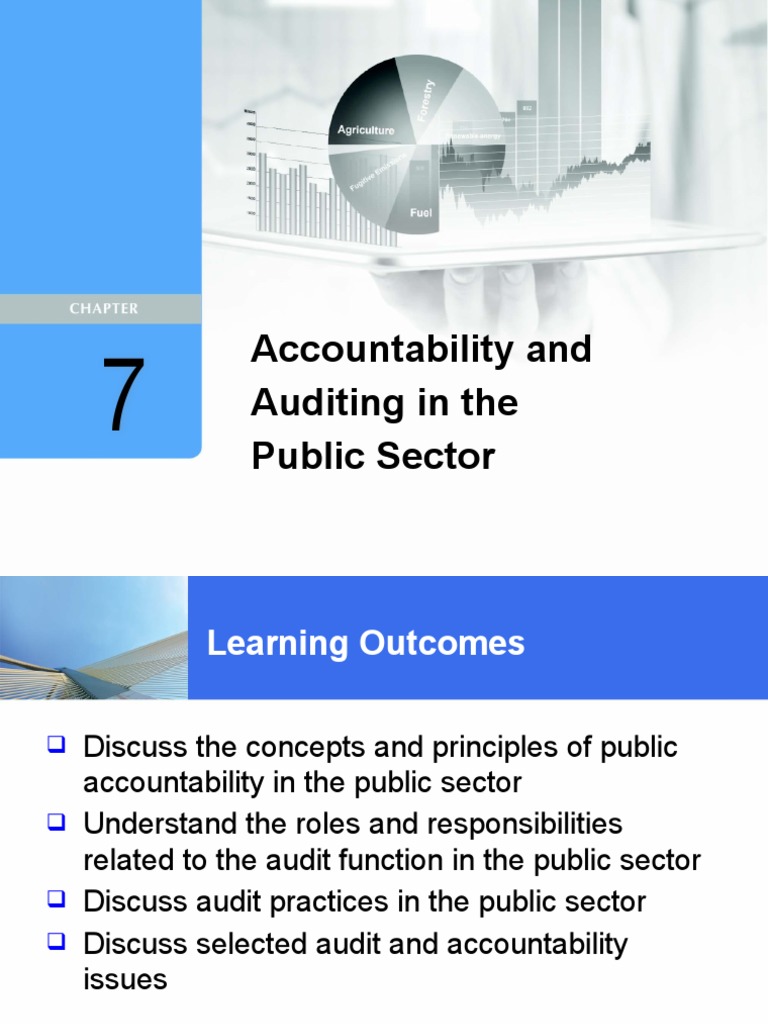 6 Accountability and Auditing in The Public Sector (Nota) | PDF ...