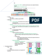 Inmunología MHC