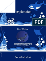 Ocean Exploration