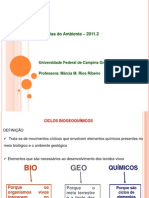 Ciclos Biogeoquimicos