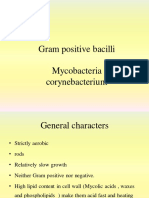 Gram Positive Bacilli Mycobacteria Corynebacterium