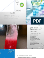 Extraccion de ADN: Prof. Maribel A: González T. Depto. Genética y Biología Molecular FACINET, Universidad de Panamá