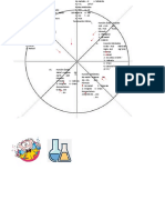 Circulo Dinamico