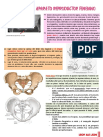 1.1 Anatomia Del Aparato Reproductor Femenino