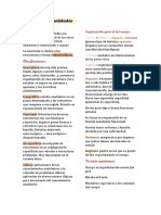 Anatomía Generalidades: Clasificaciones