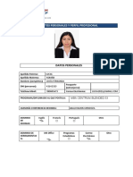 FORMATO CV Ejemplo 53