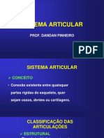 3 - Aula - III - Sistema Articular