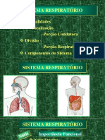 6 - Aula - VI - Sistema Respiratório - 2020