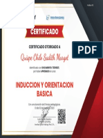 Quispe Chilo Sadith Margot: Induccion Y Orientacion Basica