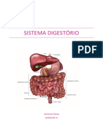 Sistema Digestório: Semestre Iii Natalia Paiva