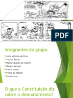 Protegendo o Futuro: Leis e Impactos do Desmatamento na Amazônia