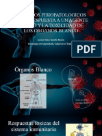 Procesos Fisiopatologicos Como Respuesta A Un Agente Toxico Y La Toxicidad de Los Organos Blanco