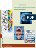 Afiche Informativo Importancia de La Neurociencia