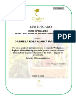 Certificado: Gabriela Rosa Alanya Marquez