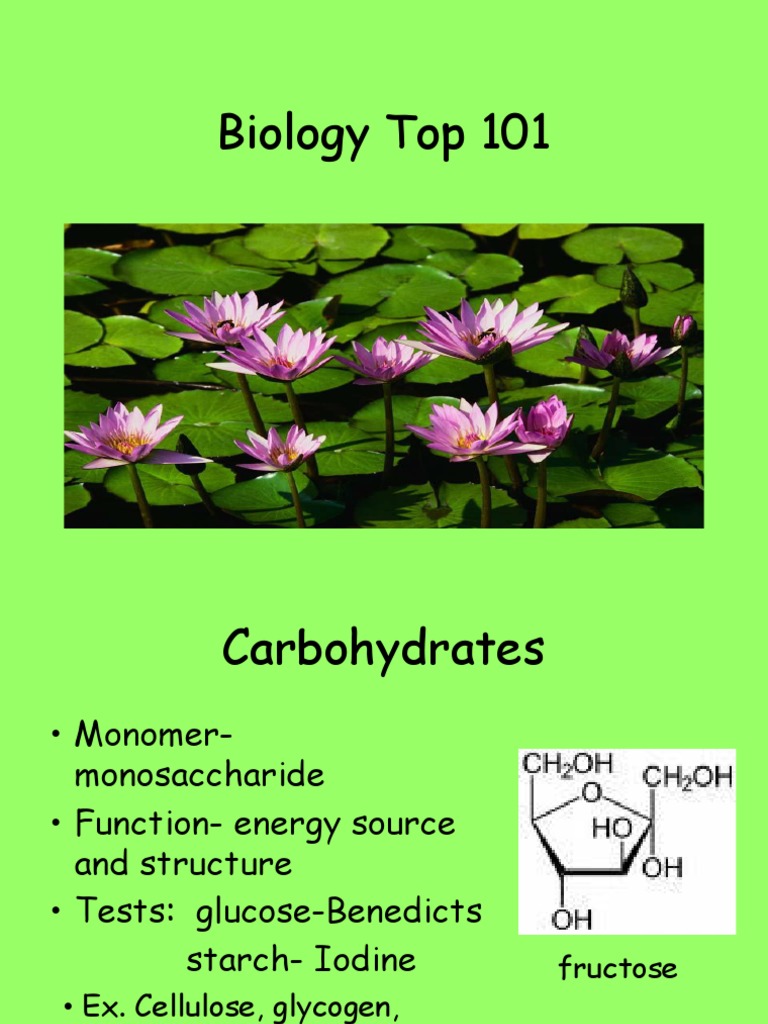 Essential Biology Concepts Overview | PDF | Dominance (Genetics) | Dna