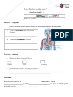 UNIDAD 1: ¿Como Funciona Nuestro Cuerpo? Guía Formativa N.º 1