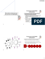 AULA 8 - Provas Inflamatórias