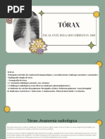 Diferencias entre Rx de Tórax AP y PA | PDF | Tórax (anatomía humana ...