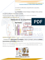 3.1. Paso de Los Fármacos Entre Los Diferentes Compartimentos Corporales