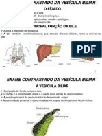 7 - Colecistograma Oral