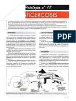 Dialnet FichaDePatologiaN17LaCisticercosis 2869369